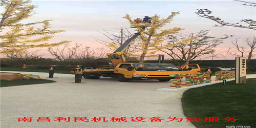 樟樹(shù)路燈車(chē)出租公司