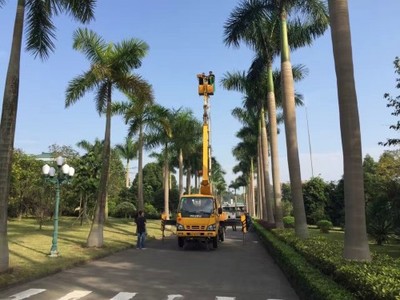 珠海香洲高空車、路燈車與升降車出租服務(wù)詳解